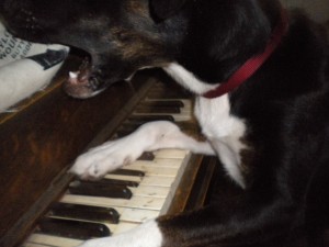 miza playing piano and singing
